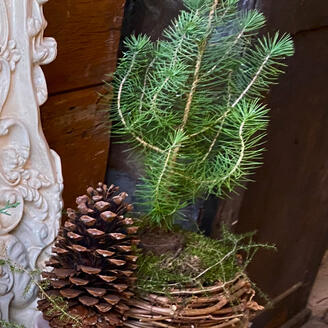 Plakat Kunst und Handwerkermarkt