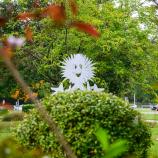 Landschaft ums reforum - Weinreben